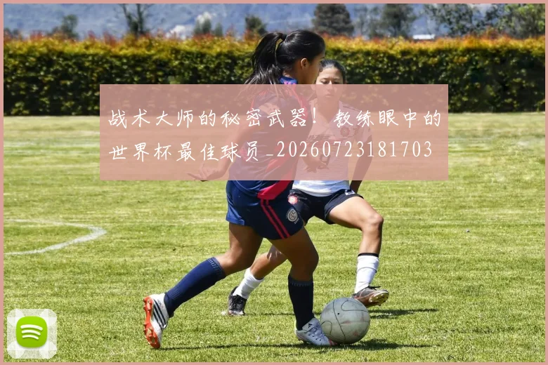 战术大师的秘密武器！教练眼中的世界杯最佳球员_20260723181703